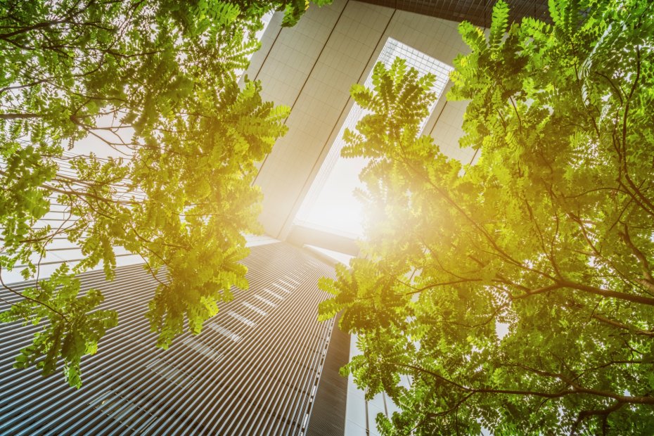Green-certified building exterior