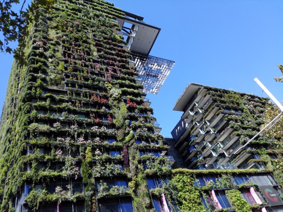 Icons representing Australia’s green building policies