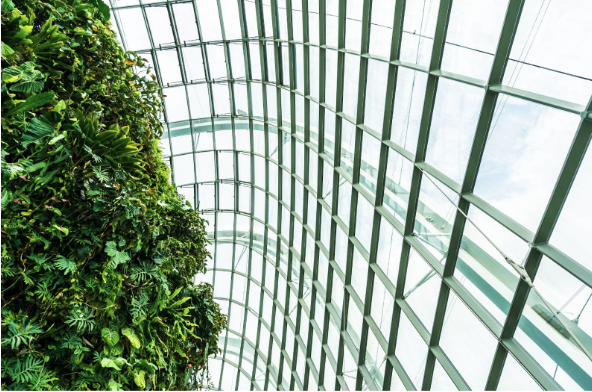 Green wall and glass architecture inside a modern greenhouse structure